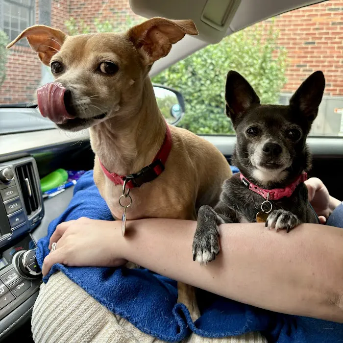 Harpeth Valley Animal Hospital 7