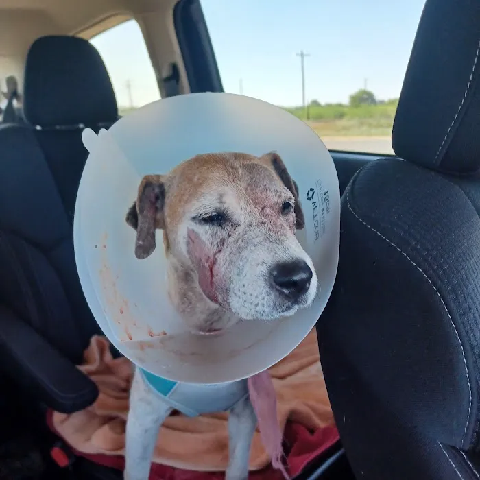 Hondo Veterinary Hospital 12