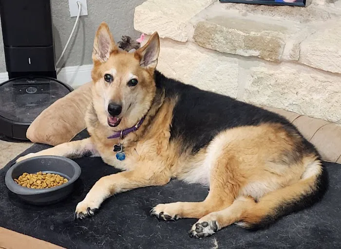 Hondo Veterinary Hospital 12