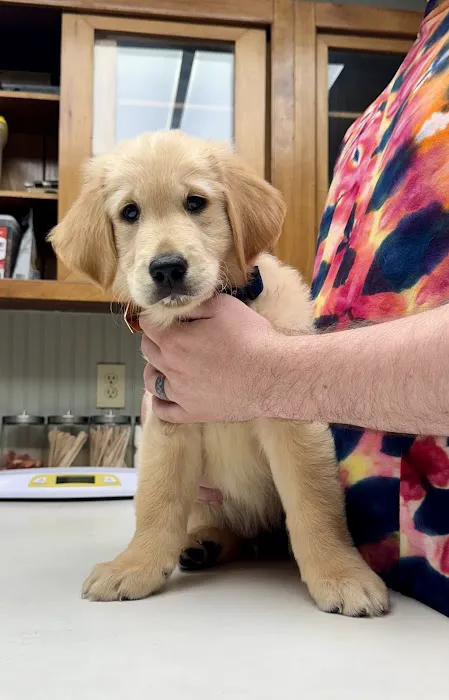 Hondo Veterinary Hospital 12