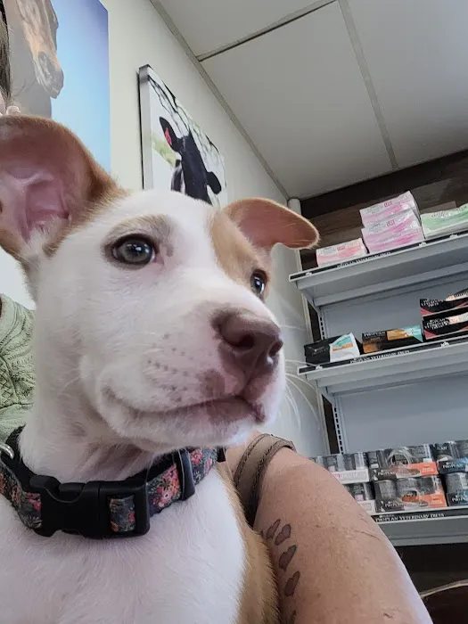 Hondo Veterinary Hospital 12