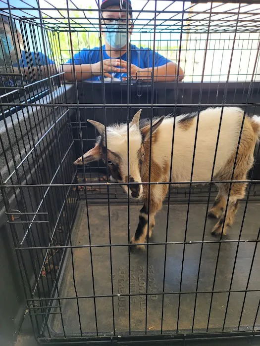 Hondo Veterinary Hospital 12