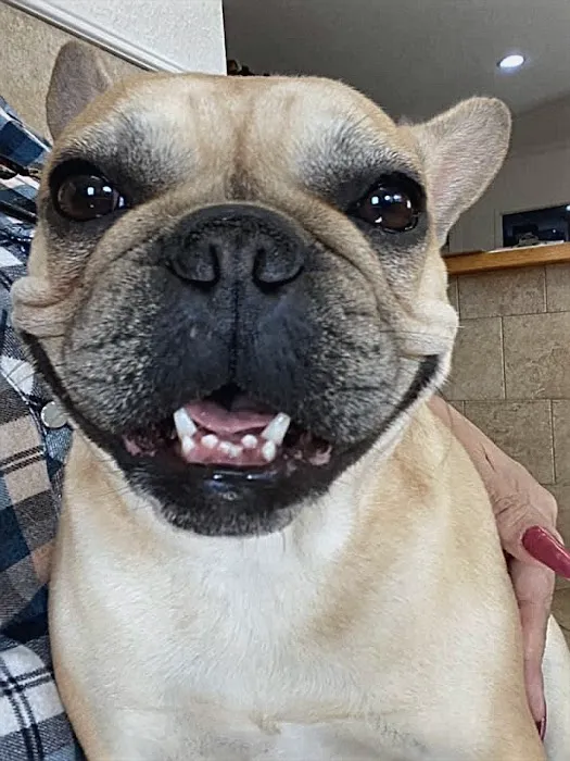Bulverde Bexar Veterinary Clinic 6