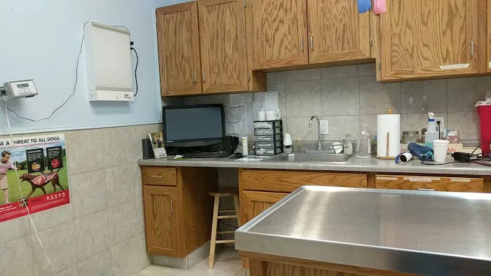 Bulverde Bexar Veterinary Clinic 7