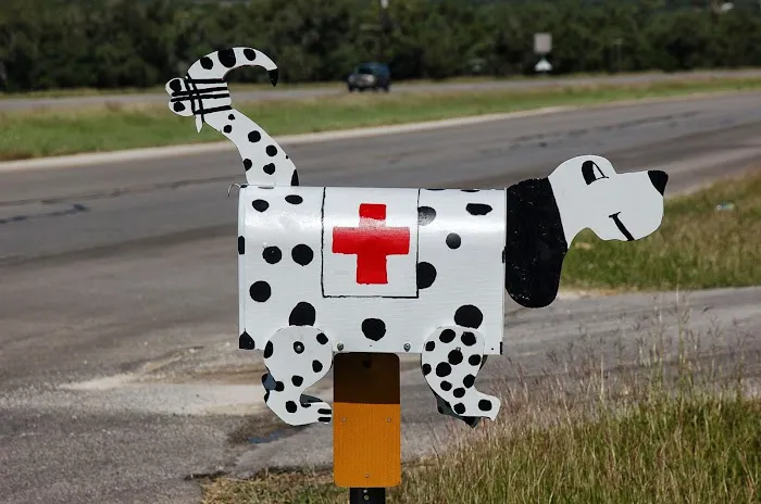 Spring Branch Veterinary Hospital 8