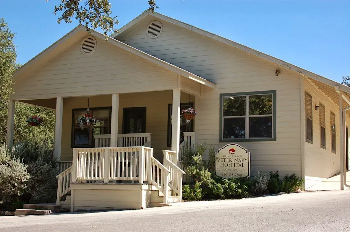 Spring Branch Veterinary Hospital 7