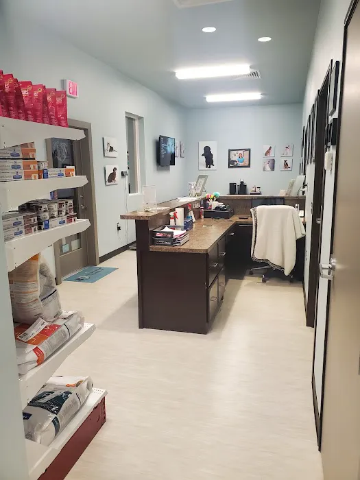 Fur and Feather Family Vet 4