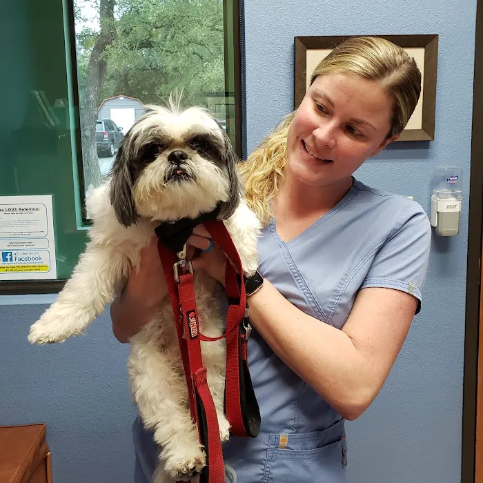 Bergheim Pet Hospital & Clinic 5