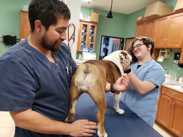 Bergheim Pet Hospital & Clinic 9