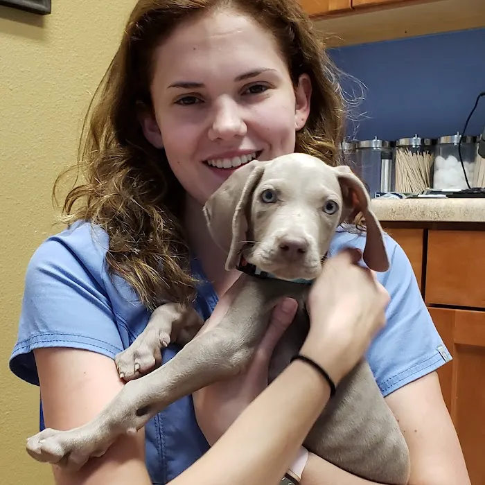 Bergheim Pet Hospital & Clinic 8