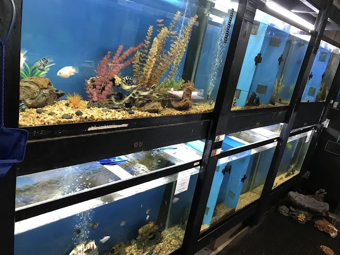 Tignor Aquatics 4