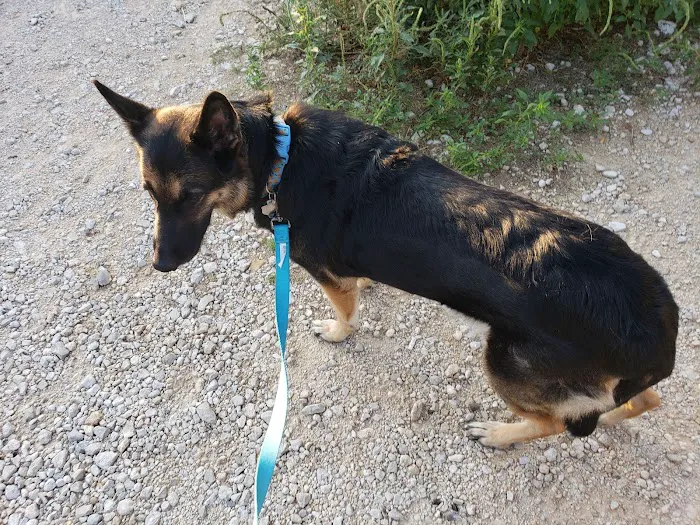 Marion Animal Hospital 8