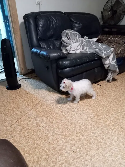 Rocky Valley Kennels Puppy Boutique 6