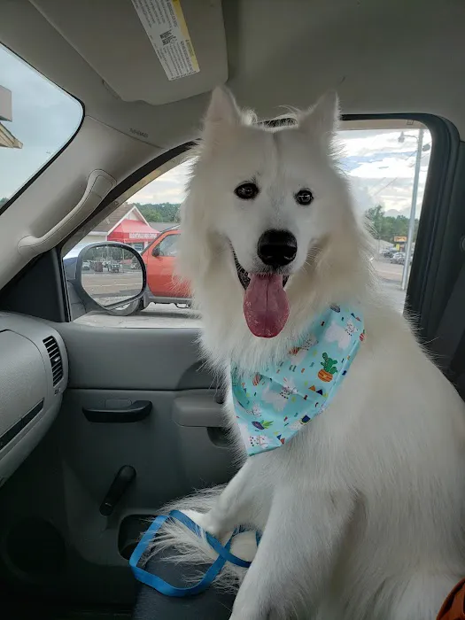 Rocky Valley Kennels Puppy Boutique 2