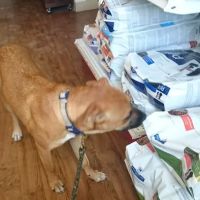 Marion Animal Hospital: Kunde K L DVM ico