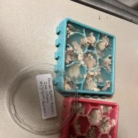 Trina Treats For Furry Feet ico