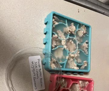 Trina Treats For Furry Feet