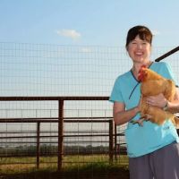Deason Animal Hospital ico