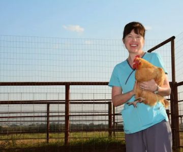 Deason Animal Hospital