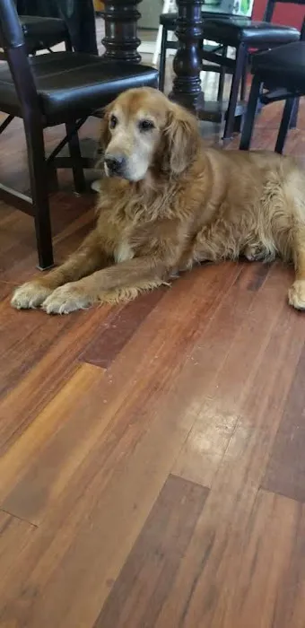 Deason Animal Hospital 8