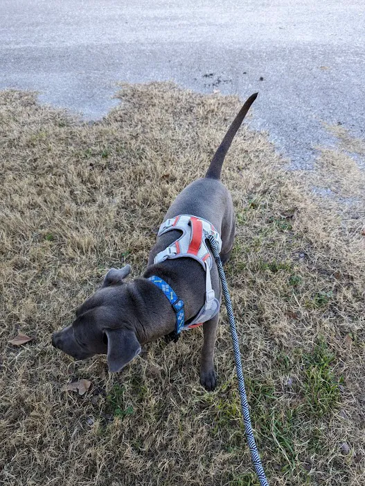 Parkview Veterinary Center 7