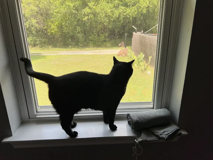 Parkview Veterinary Center 1