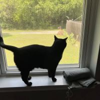 Parkview Veterinary Center ico