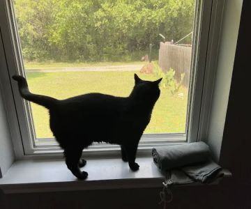 Parkview Veterinary Center