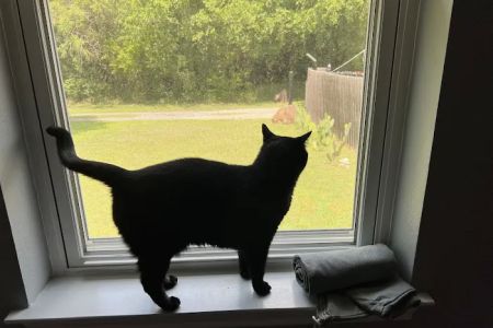 Parkview Veterinary Center