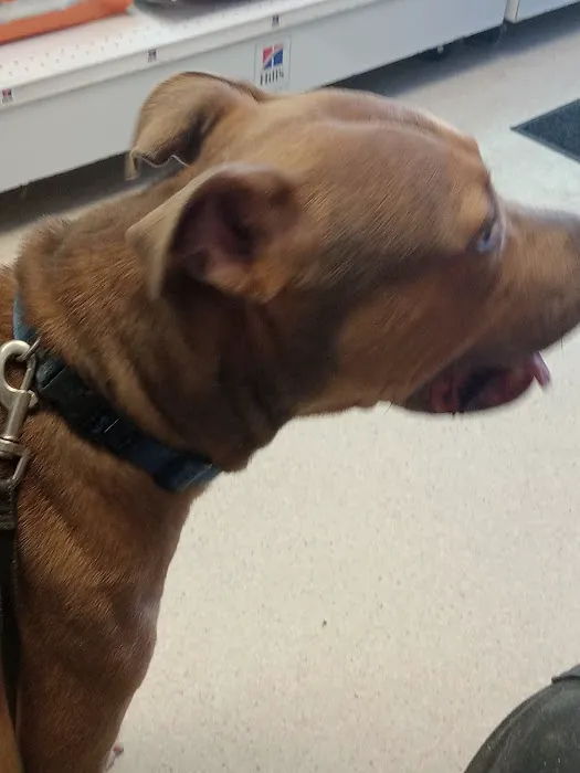 Parkview Veterinary Center 10