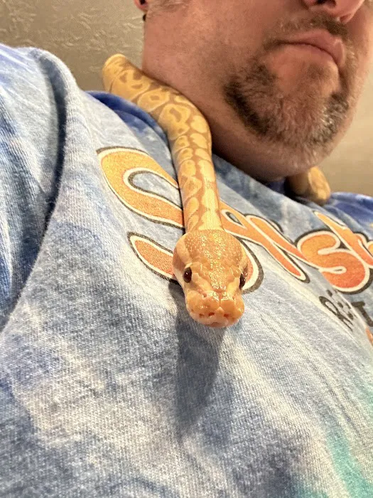 Squishy's Reptiles 1