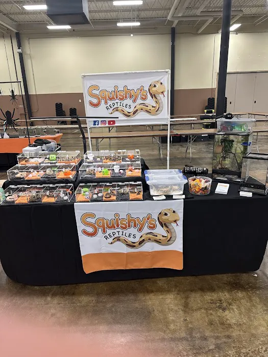 Squishy's Reptiles 2
