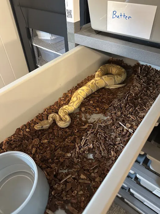 Squishy's Reptiles 7