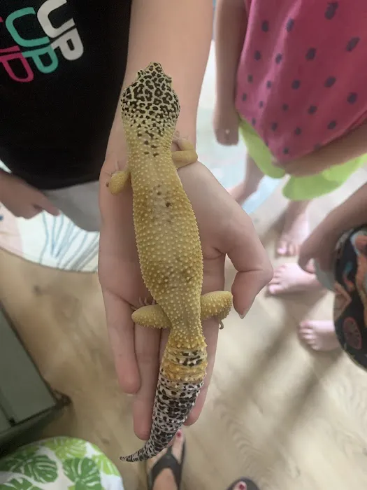 Squishy's Reptiles 5