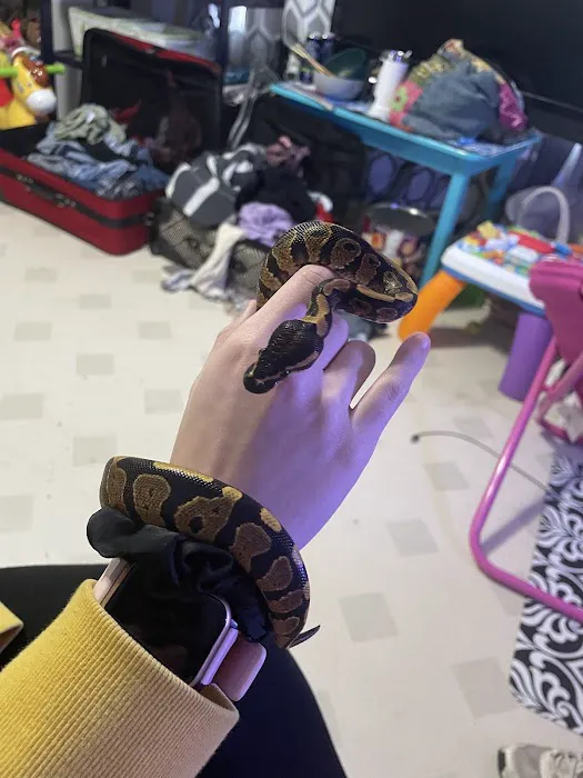 Squishy's Reptiles 4