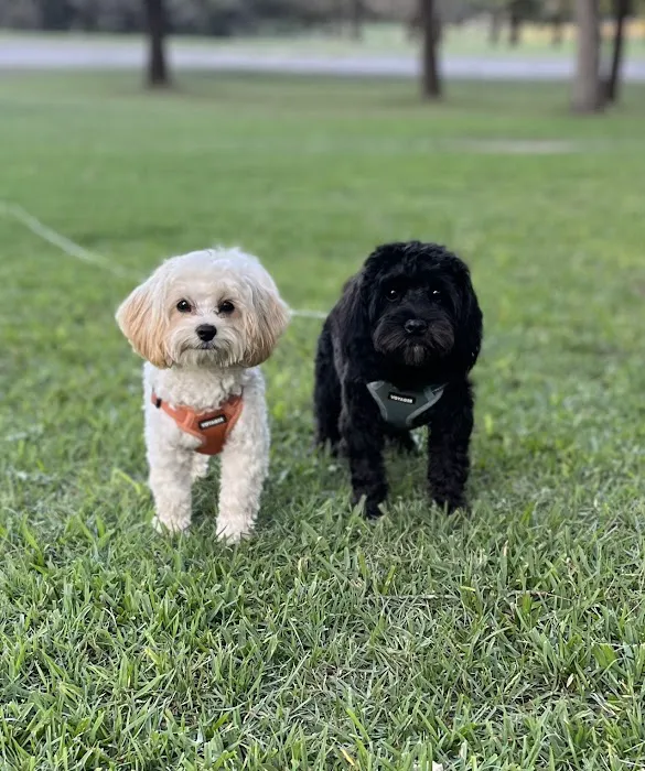 Hill Country Animal Emergency Hospital 8