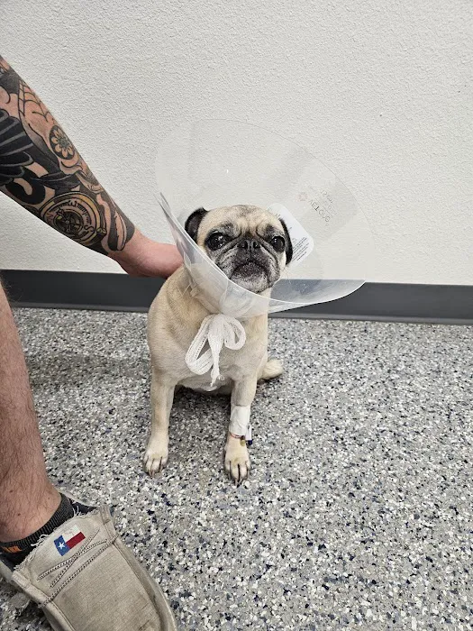 Hill Country Animal Emergency Hospital 10