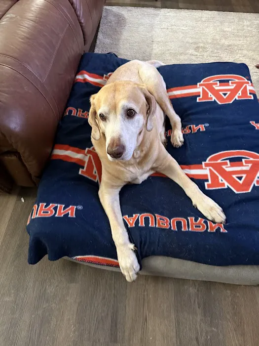 Cornerstone Animal Hospital 6
