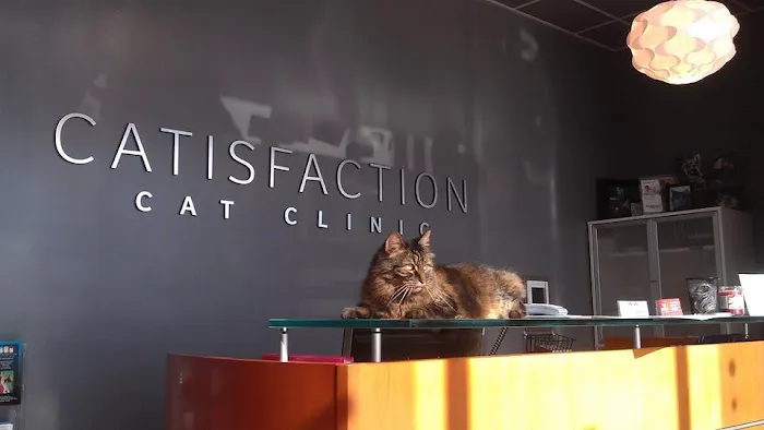 Catisfaction Cat Clinic 8