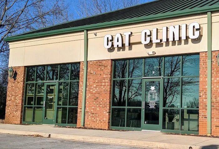 Catisfaction Cat Clinic 6
