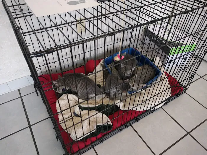 Madison Animal Care Hospital 7