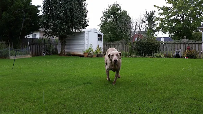 Madison Animal Care Hospital 2
