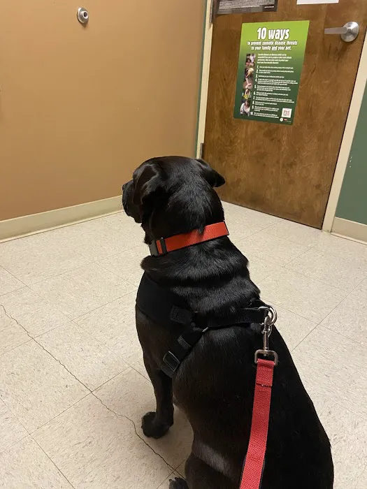 Best Friends Animal Hospital 9