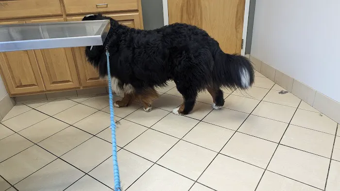 Animal Health Care Center 4