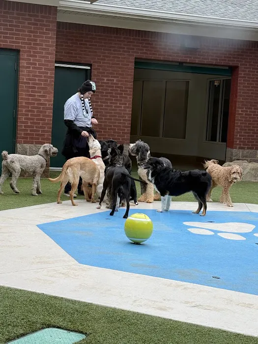 Animal Health Care Center 7