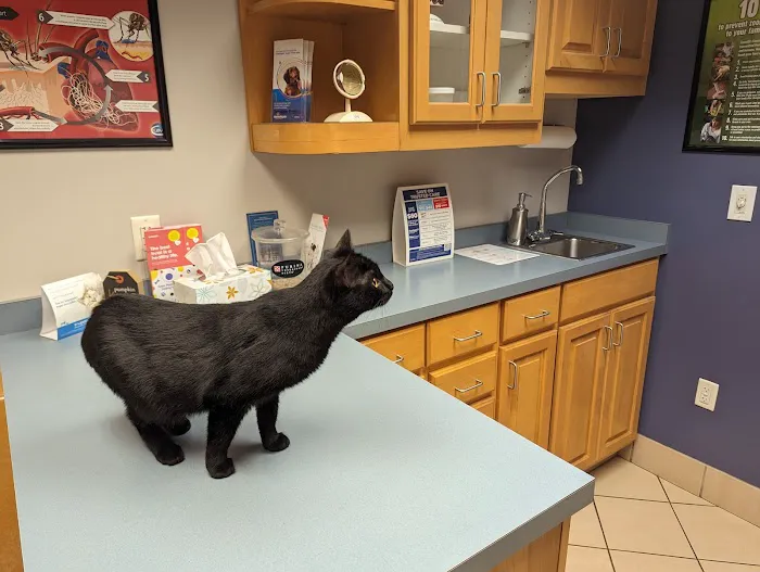 Animal Health Care Center 8