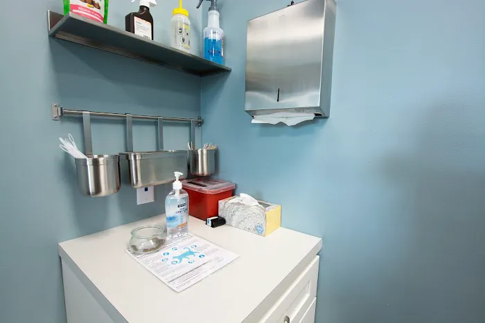 easyvet Veterinarian Madison 4