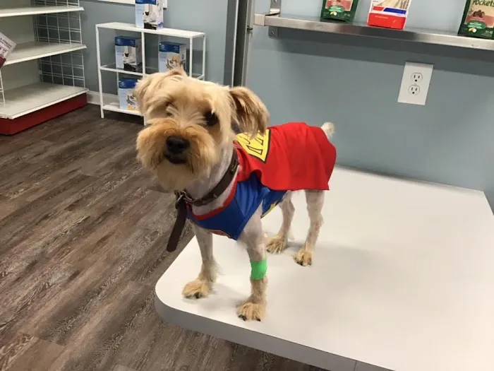 easyvet Veterinarian Madison 3