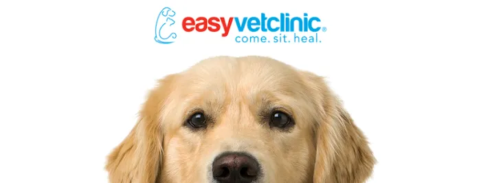 easyvet Veterinarian Madison 1
