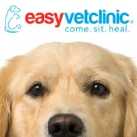 easyvet Veterinarian Madison ico